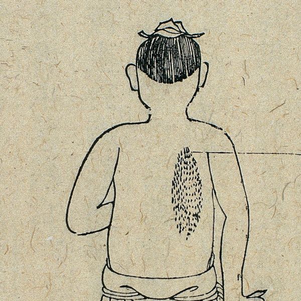 Chinese Medical Illustrations
